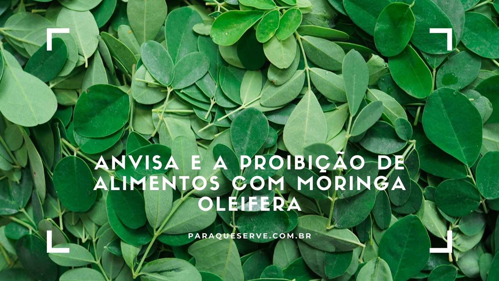 Anvisa e a proibição de alimentos com Moringa oleifera Anvisa e a proibição de alimentos com Moringa oleifera
