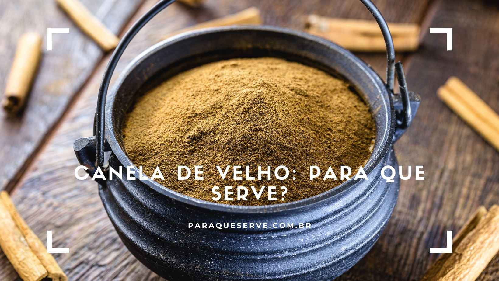 Canela de velho para que serve Canela de velho para que serve