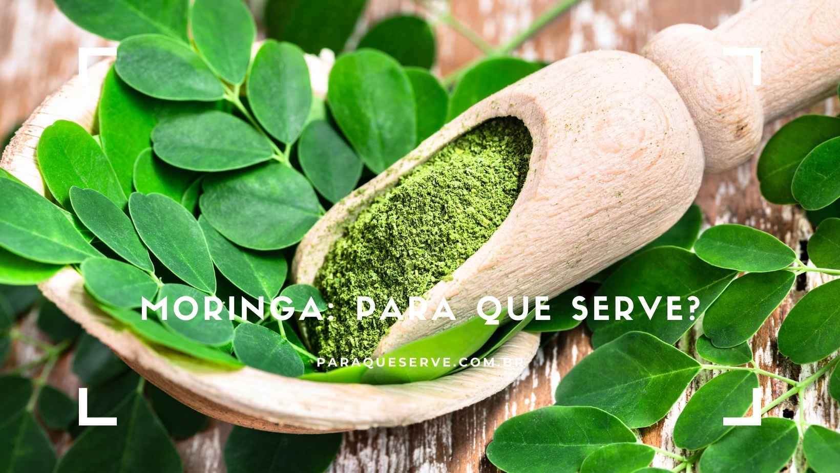 Moringa para que serve Moringa para que serve