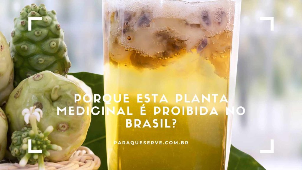 Porque esta planta medicinal é proibida no Brasil?