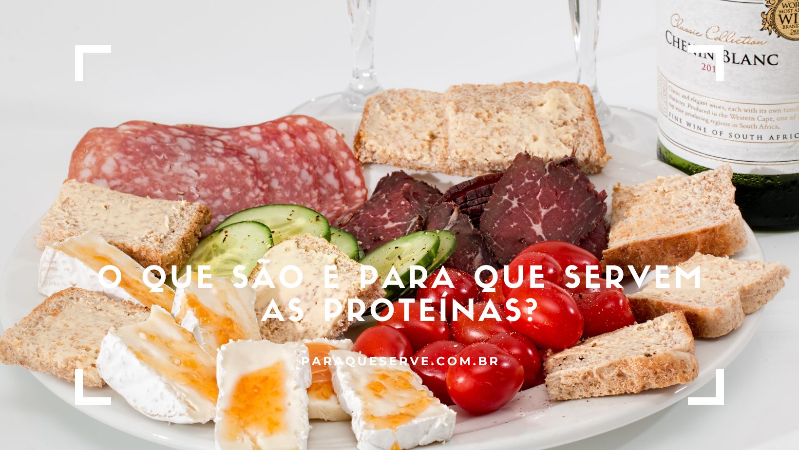 O que são e para que servem as proteínas?