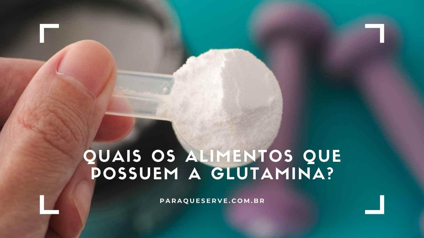 Quais os alimentos que possuem a glutamina?