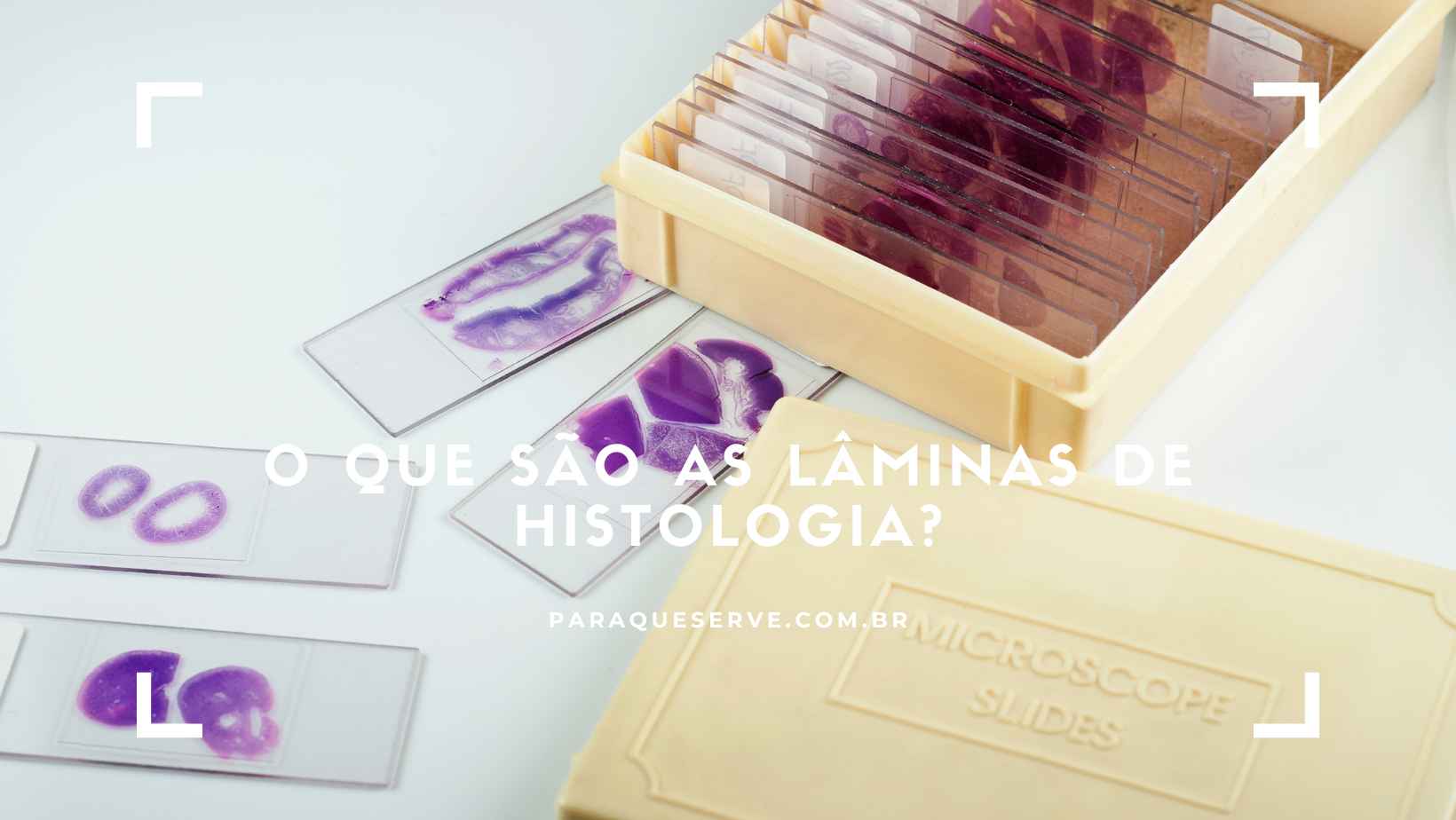O que são as lâminas de histologia?